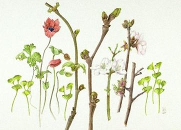 red_berries_painting_holidays